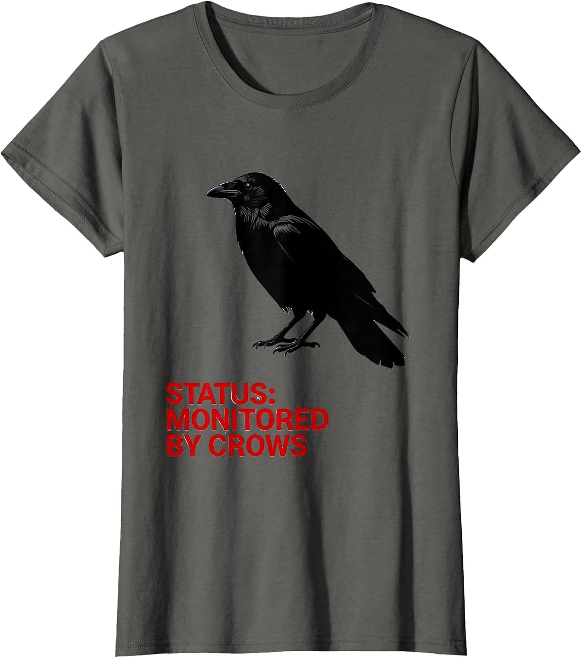 Women's Status Monitored By Crows Dark Humor Crow Obsession Gothic T-Shirt - Asphalt Grey