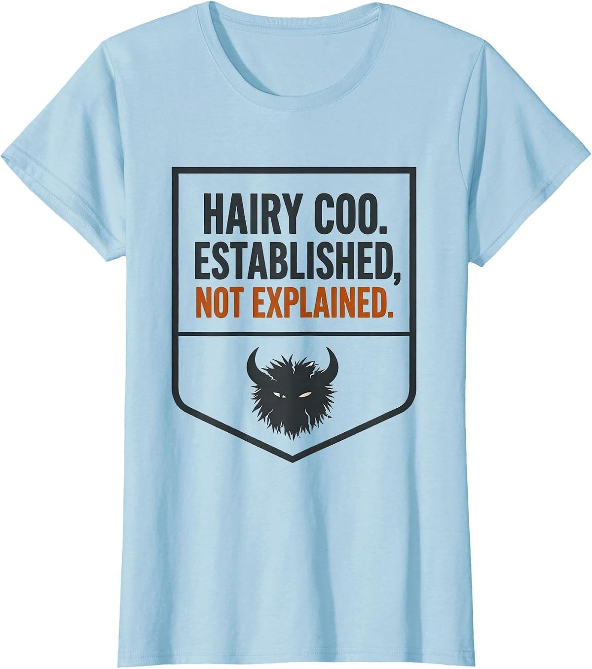 Women's Hairy Coo Established Not Explained Funny Highland Cow Lover T-Shirt - Baby Blue