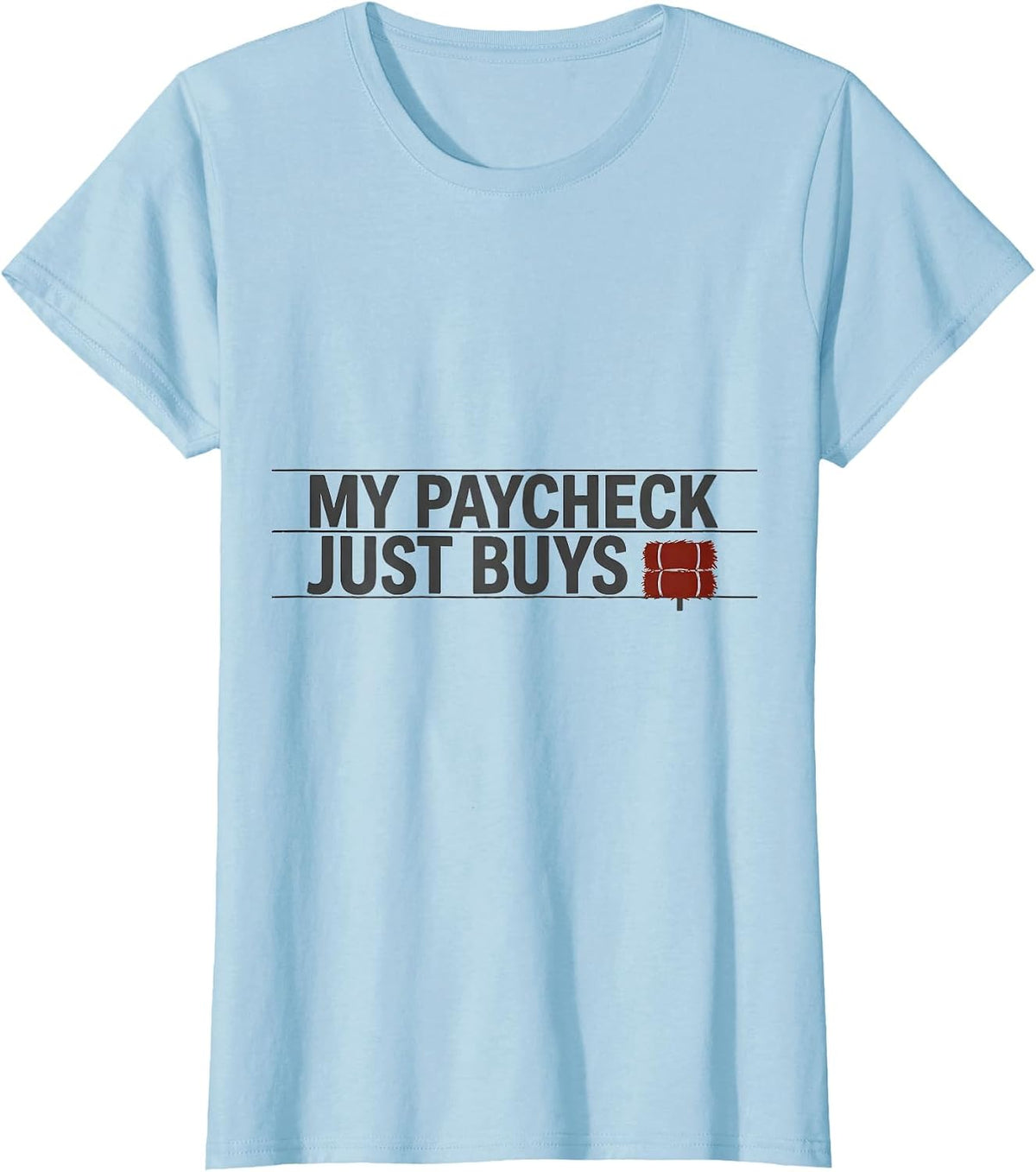 My Paycheck Just Buys Hay Funny Cowgirl Horse Lover Humor T-Shirt - Baby Blue