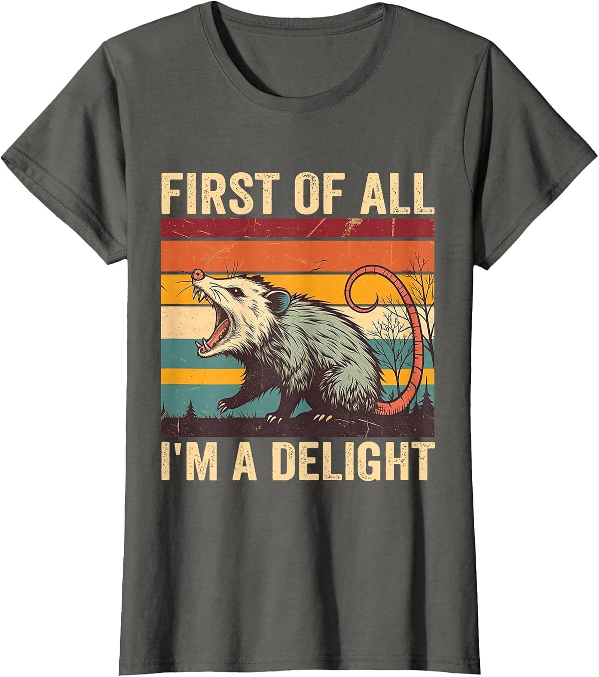 First of All I'm A Delight Angry Possum Opossum Sarcastic T-Shirt - Asphalt Grey