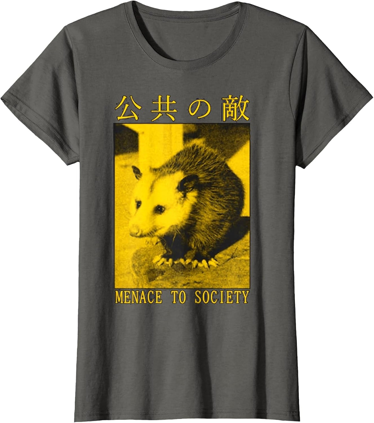 Menace to Society Opossum Japanese T-Shirt - Asphalt Grey