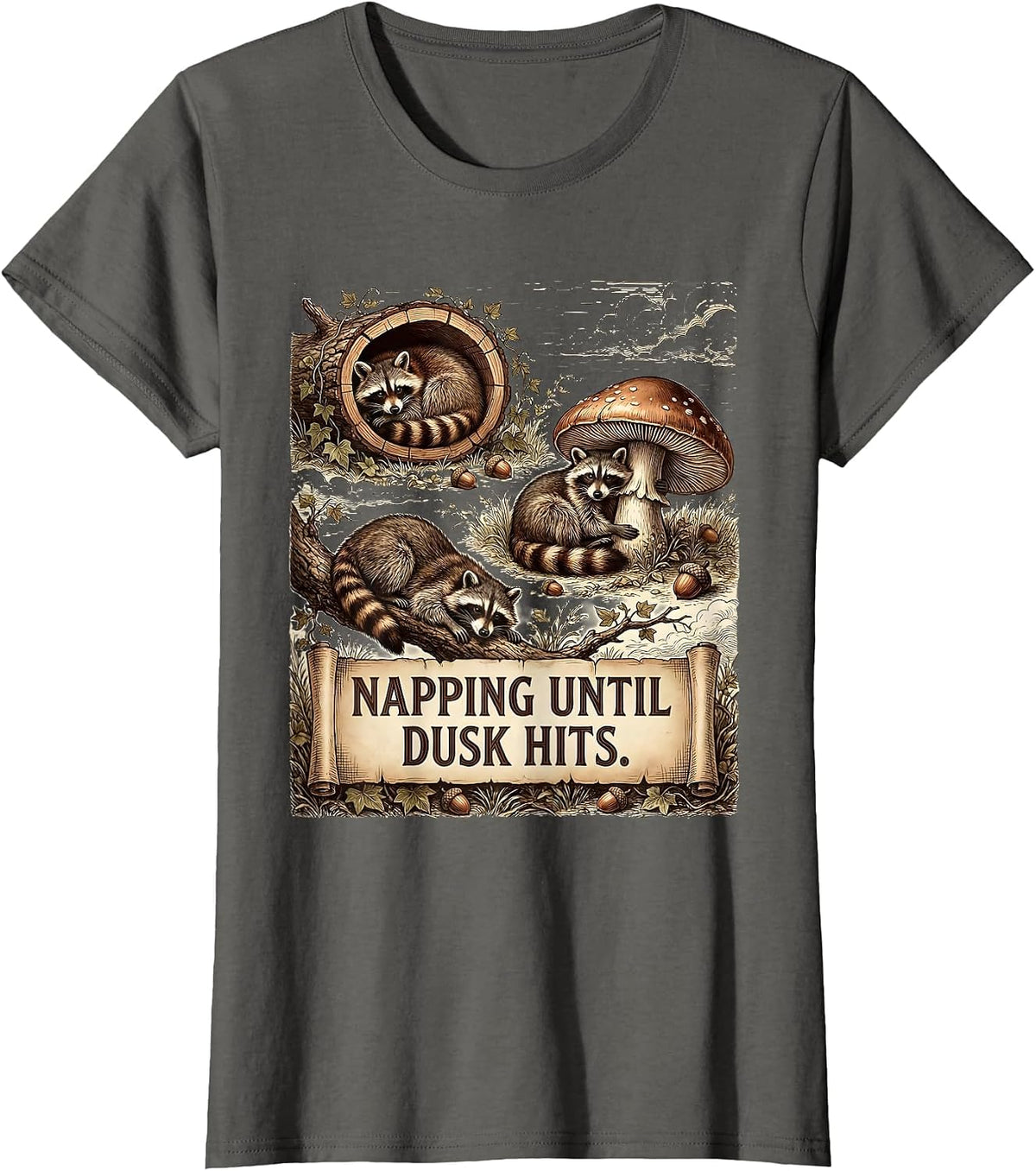 Women's Raccoon Napping Until Dusk Hits Design T-Shirt - Asphalt Grey
