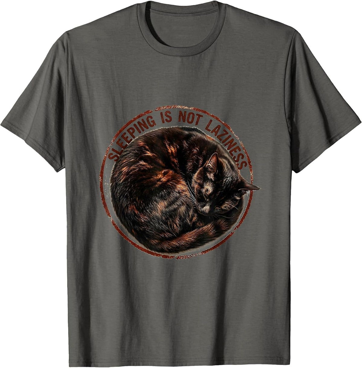 Men's Sleeping Is Not Laziness Rest Advocate Design T-Shirt - Asphalt Grey