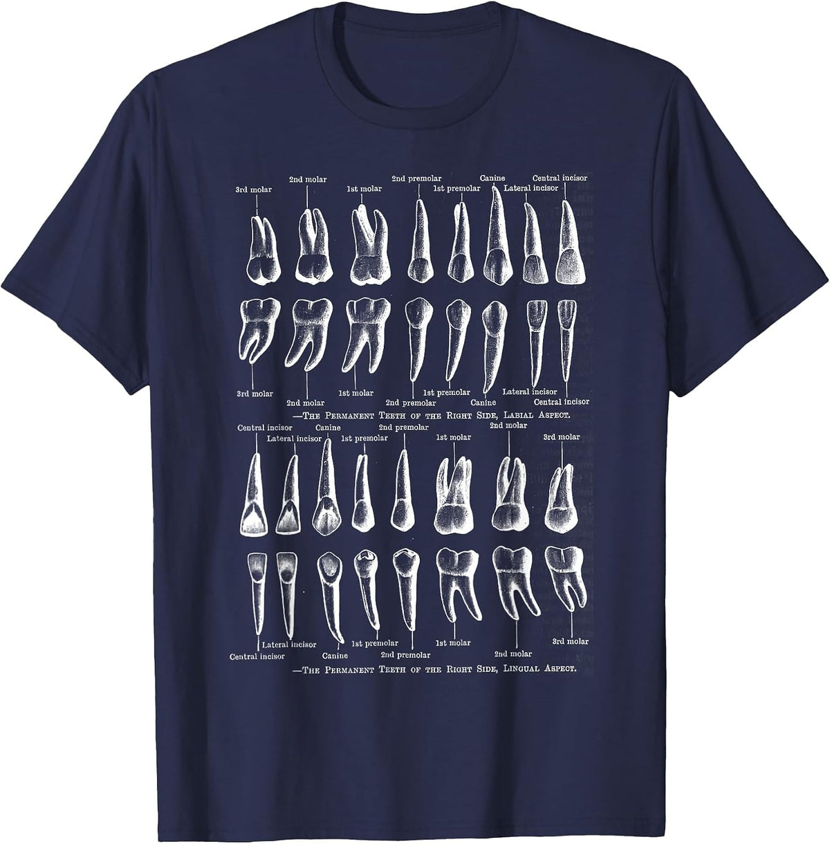 Human Teeth Dental Vintage Anatomy Retro Dentistry T-Shirt - Navy Blue