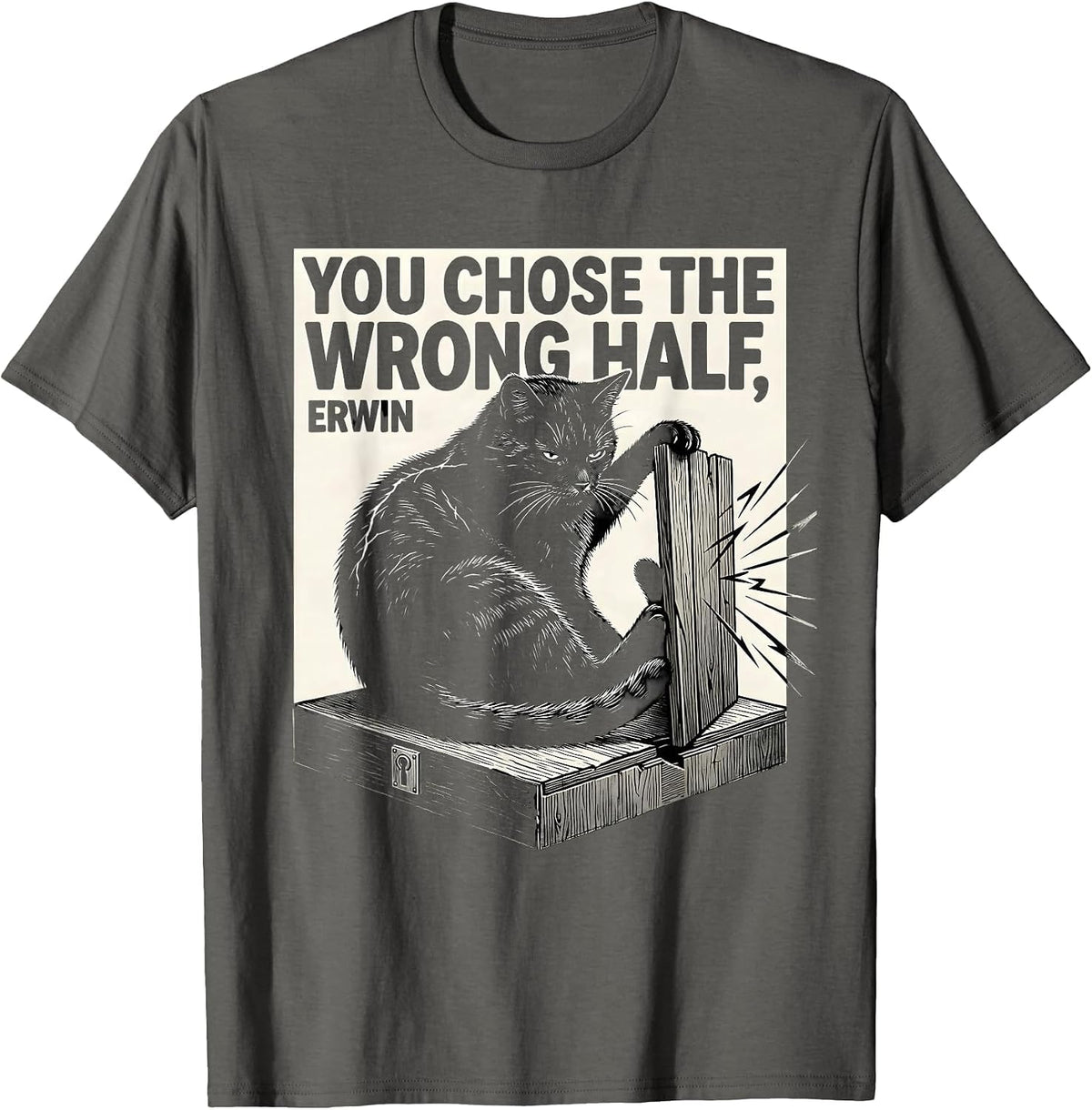 Men's You Chose the Wrong Half Erwin Funny Quantum Physics Science T-Shirt - Asphalt Grey