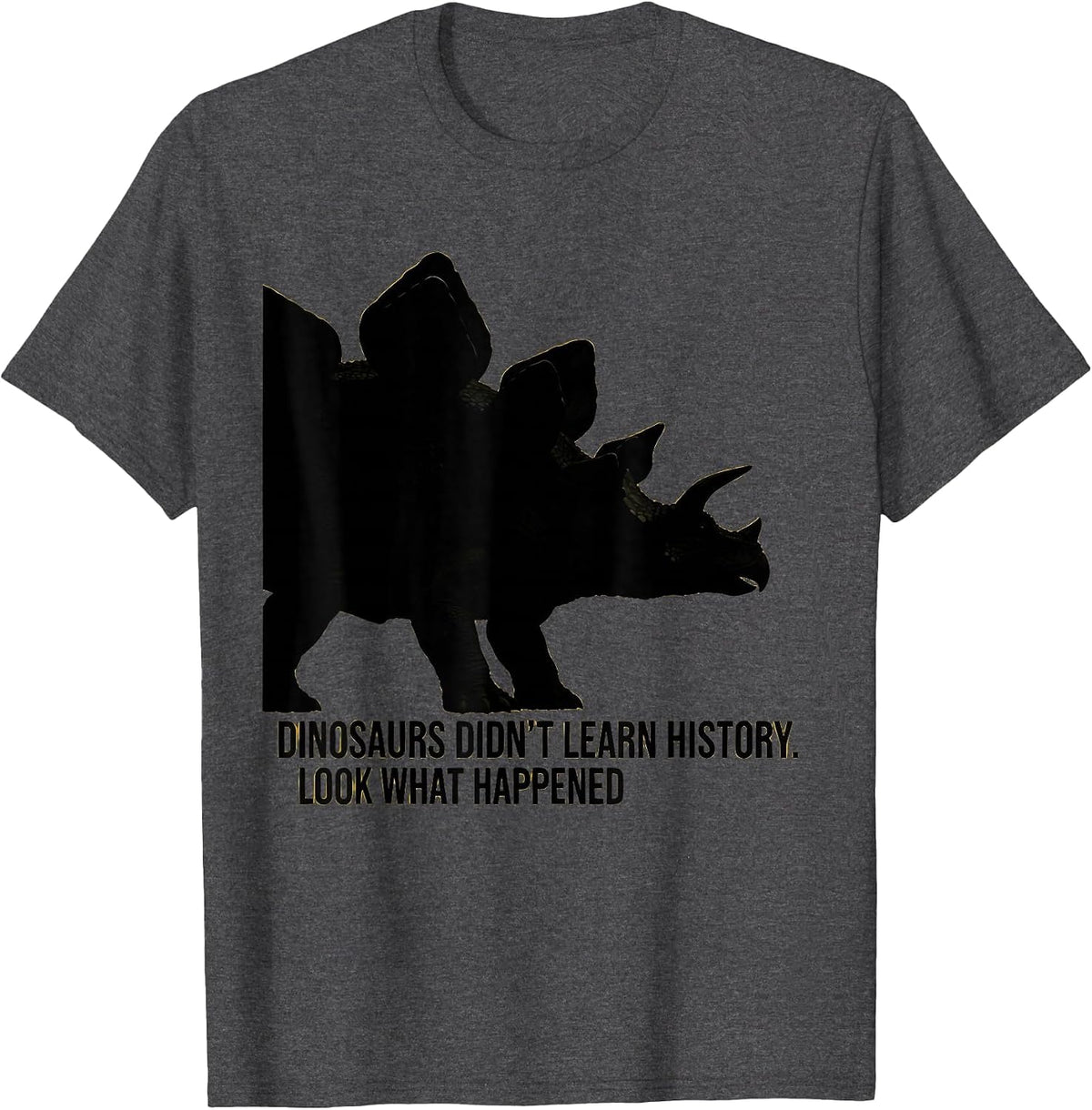 Dinosaurs Didn't Learn History Look What Happened Teacher T-Shirt - Dark Heather Grey