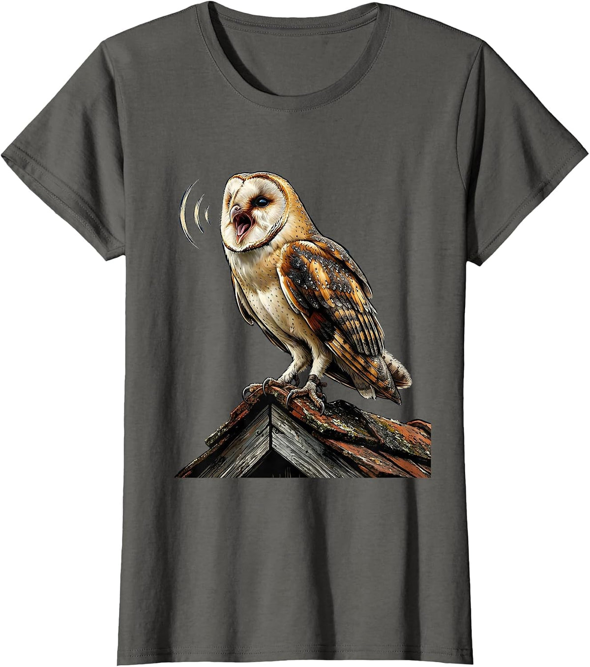 Women's Barn Owl Nighttime Call Vintage Bird Lover Whimsical T-Shirt - Asphalt Grey