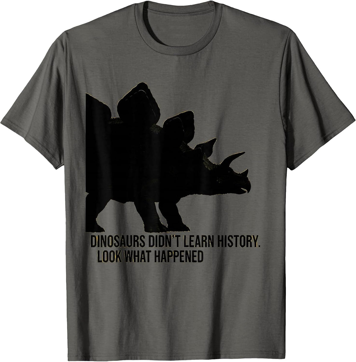 Dinosaurs Didn't Learn History Look What Happened Teacher T-Shirt - Asphalt Grey