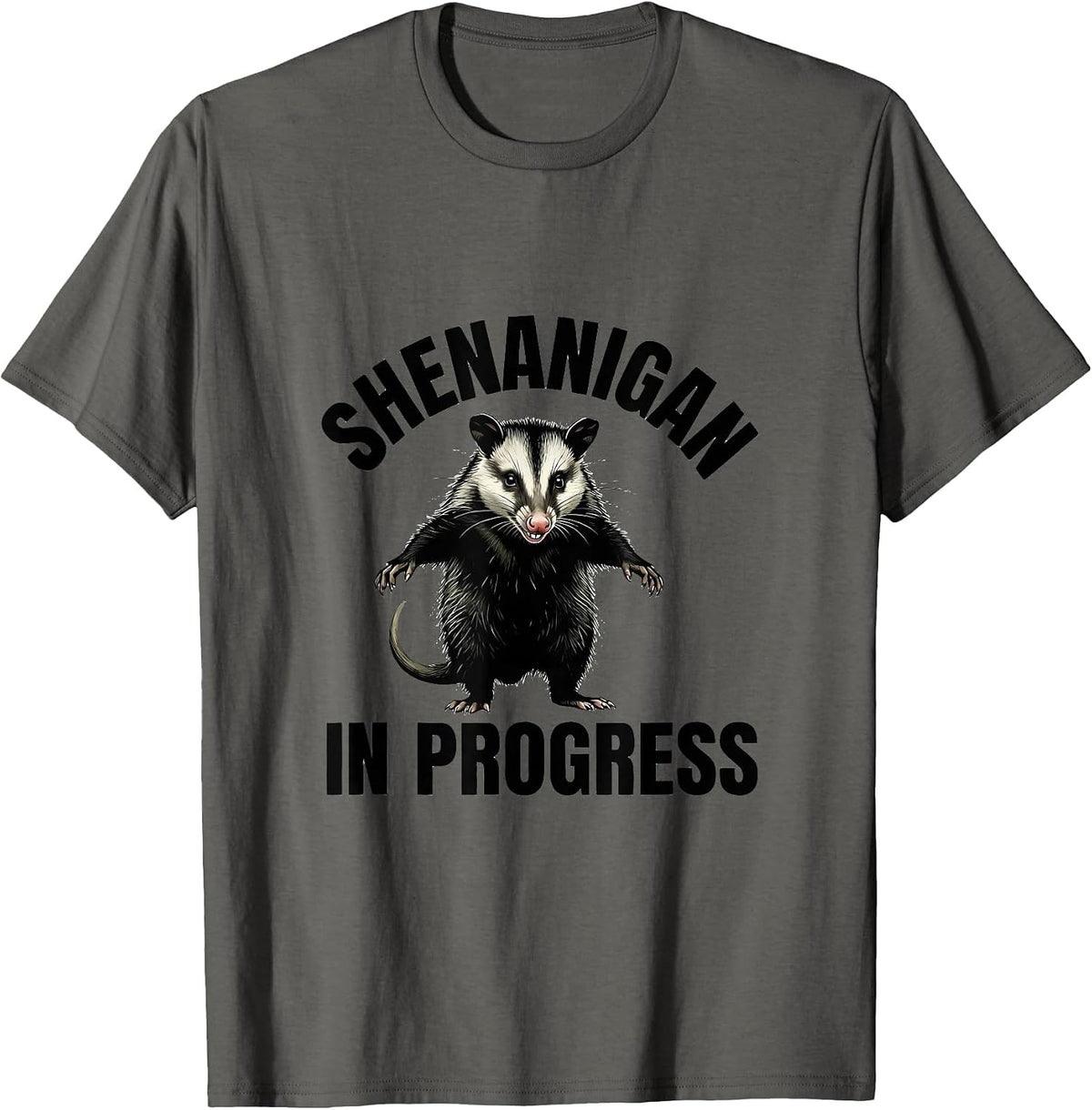 Shenanigan In Progress Mischievous Opossum Design T-Shirt - Asphalt Grey