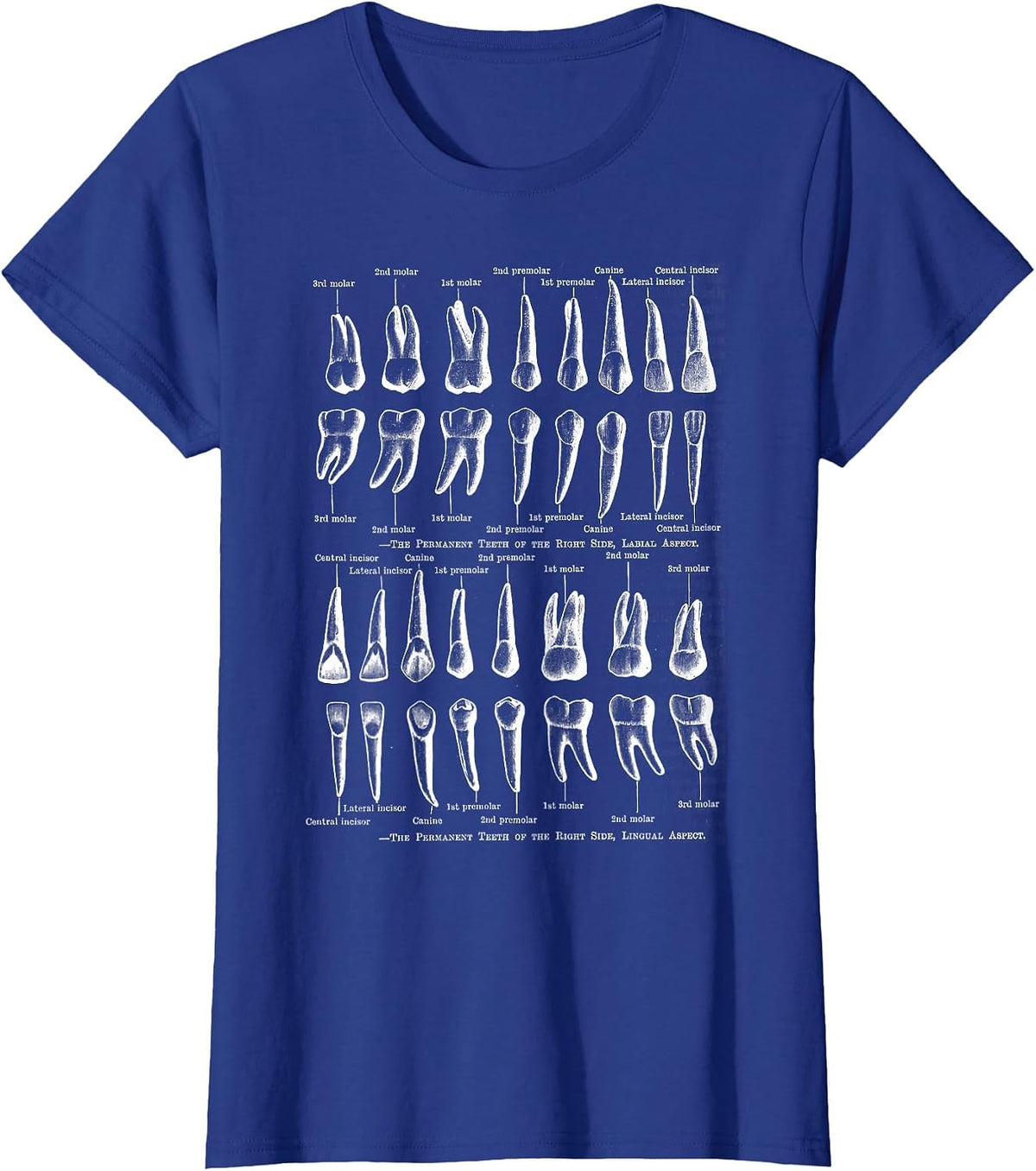 Human Teeth Dental Vintage Anatomy Retro Dentistry T-Shirt - Royal Blue