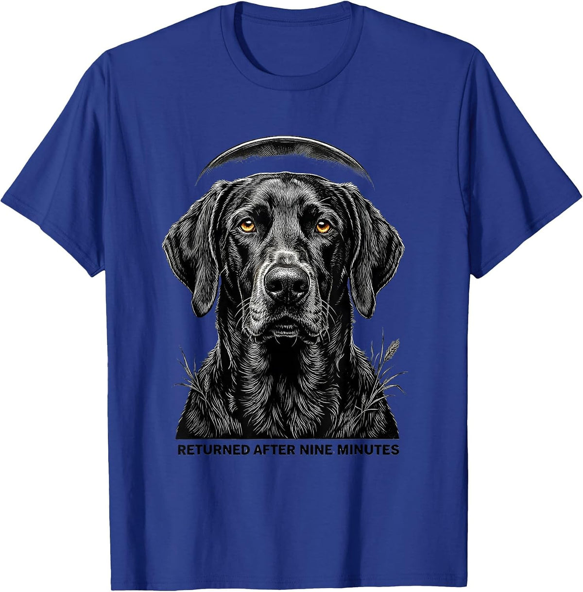 Returned After Nine Minutes Weimaraner UFO Abduction Funny T-Shirt - Royal Blue