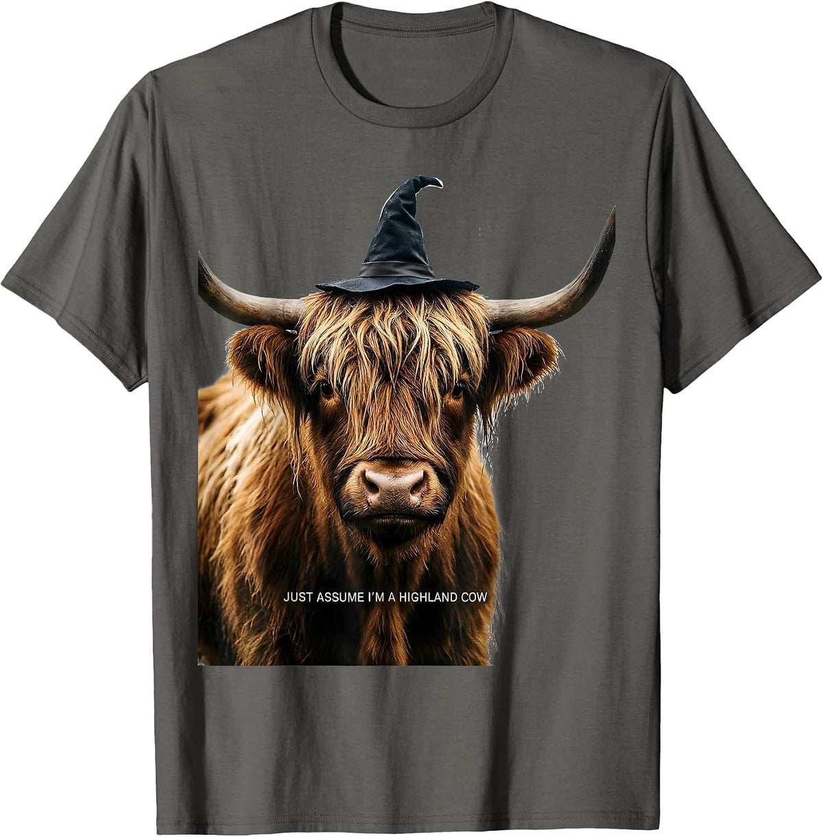 Just Assume I'm A Highland Cow Funny Highland Cow Lover T-Shirt - Asphalt Grey