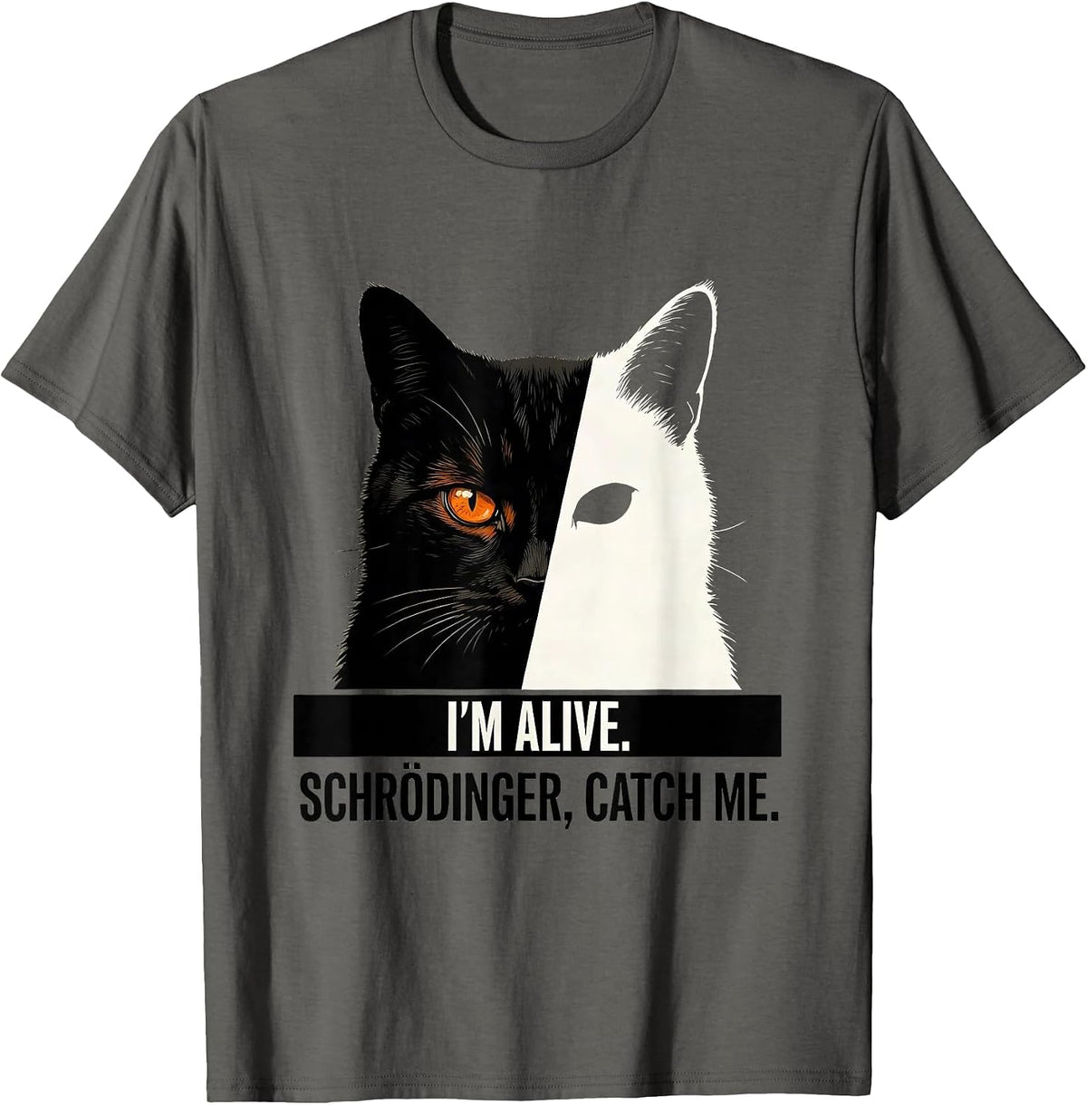 Men's I'm Alive Schrödinger Catch Me Funny Physics Science T-Shirt - Asphalt Grey