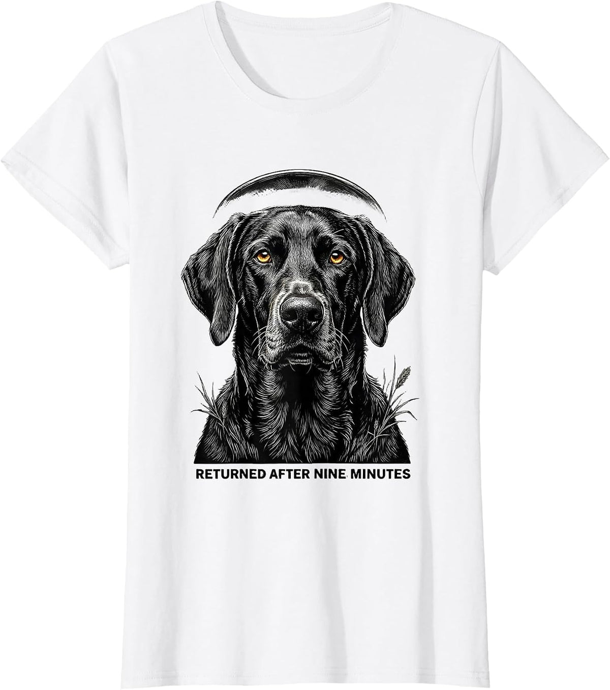 Returned After Nine Minutes Weimaraner UFO Abduction Funny T-Shirt - White