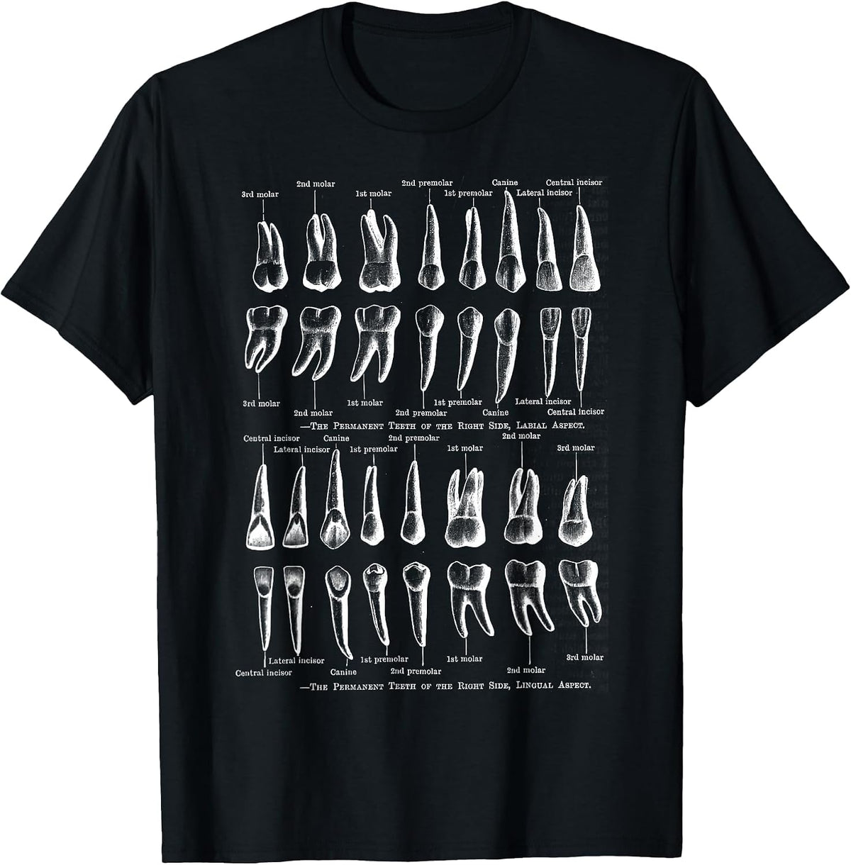 Human Teeth Dental Vintage Anatomy Retro Dentistry T-Shirt - Black