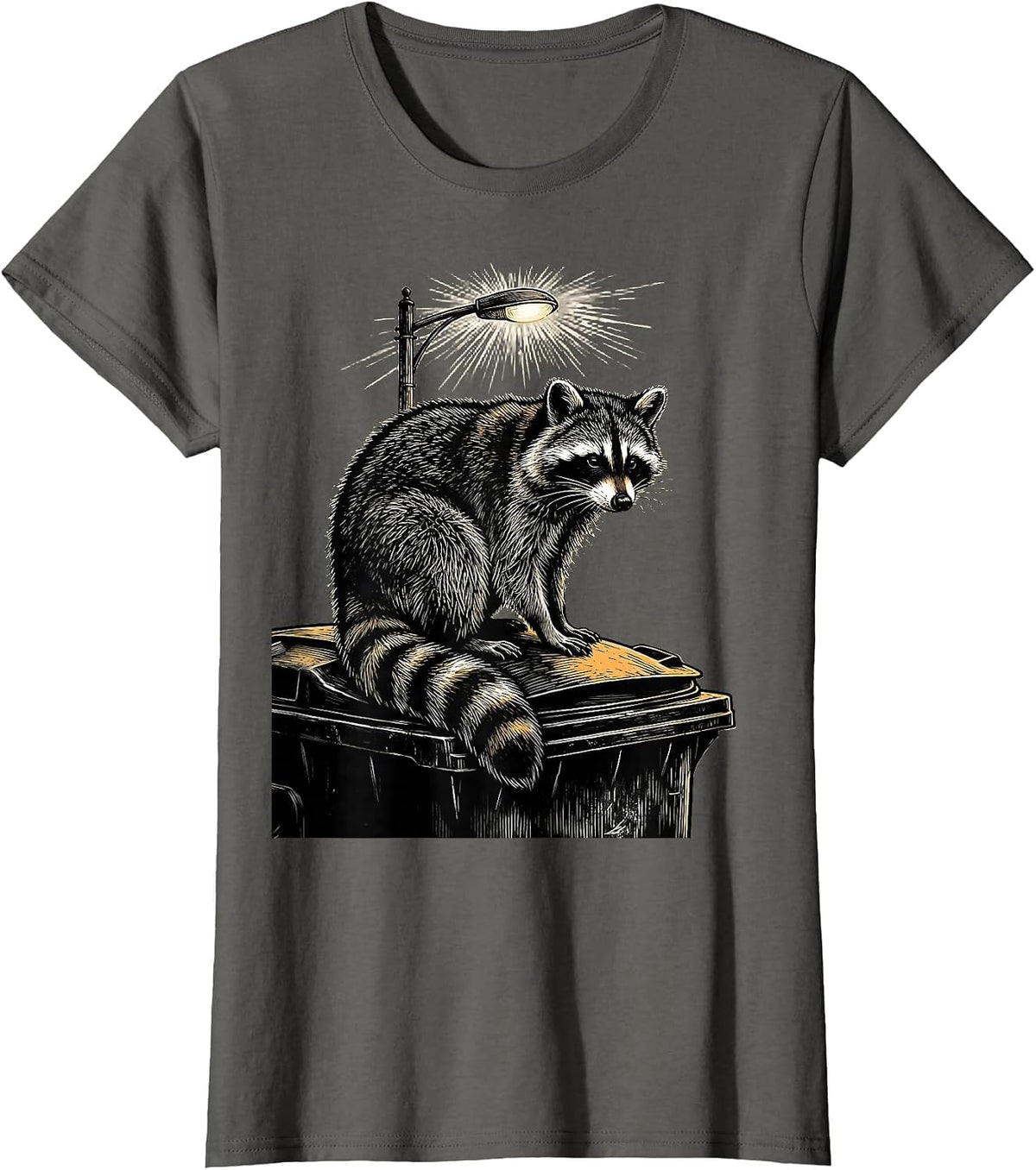 Women's Raccoon on Dumpster Night Scene Illustration T-Shirt - Asphalt Grey