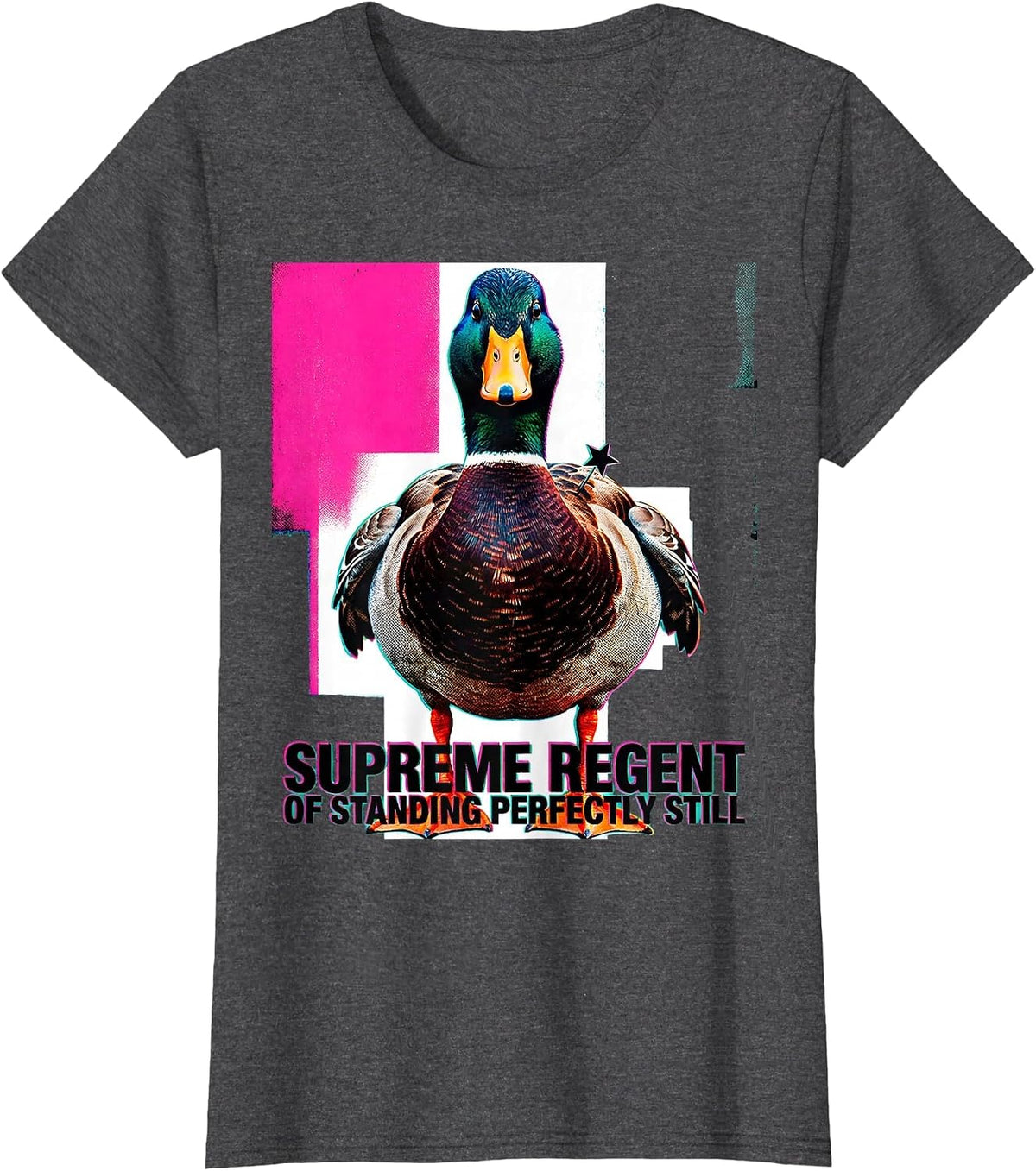 Women's Supreme Regent of Standing Perfectly Still Funny Duck T-Shirt - Dark Heather Grey
