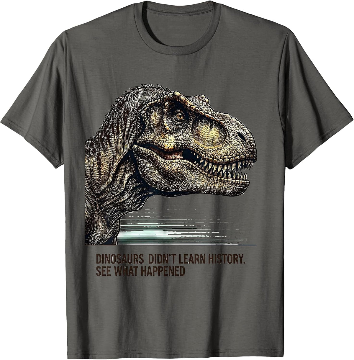 Dinosaurs Didn't Learn History See What Happened Teacher T-Shirt - Asphalt Grey