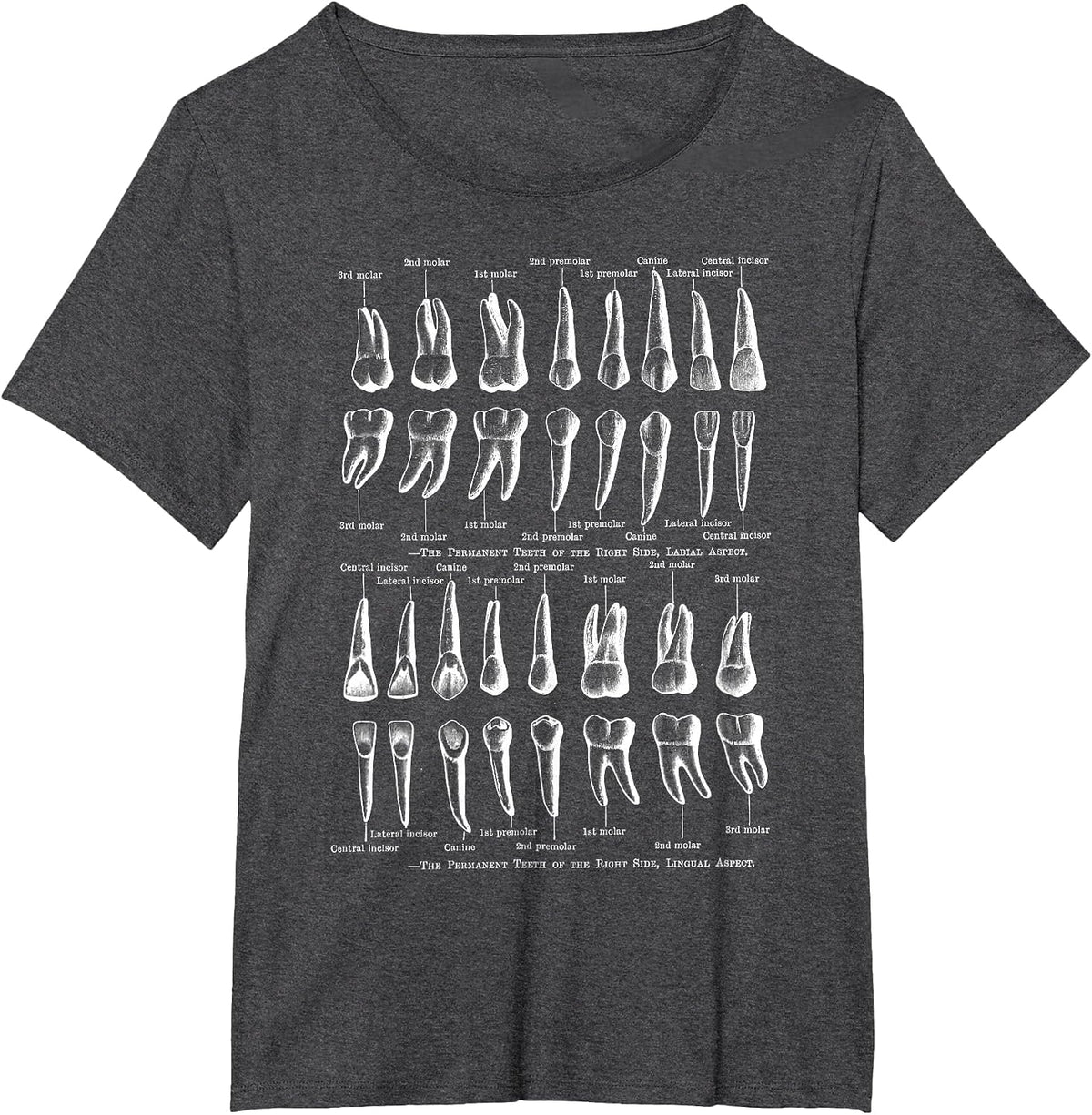 Human Teeth Dental Vintage Anatomy Retro Dentistry T-Shirt - Dark Heather Grey