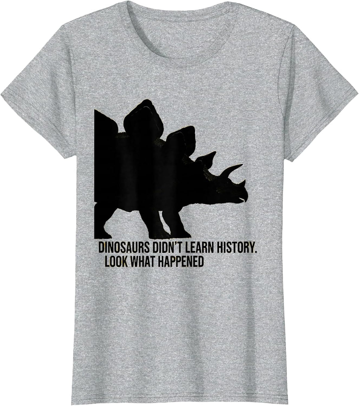 Dinosaurs Didn't Learn History Look What Happened Teacher T-Shirt - Heather Grey