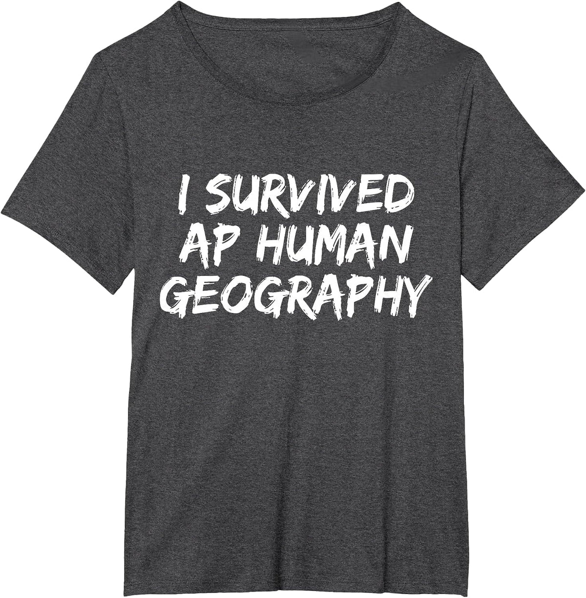I Survived AP Human Geography Funny AP Examination Quote T-Shirt - Dark Heather Grey