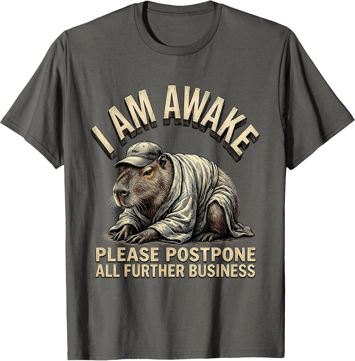 Men's I Am Awake Please Postpone All Further Business Funny T-Shirt - Asphalt Grey