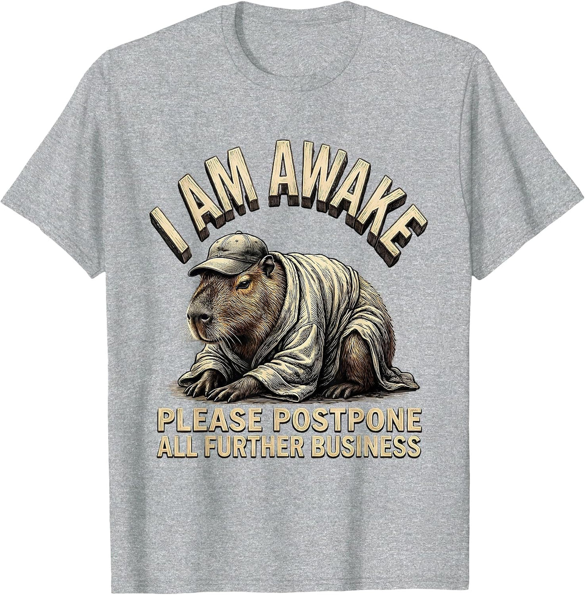 Men's I Am Awake Please Postpone All Further Business Funny T-Shirt - Heather Grey