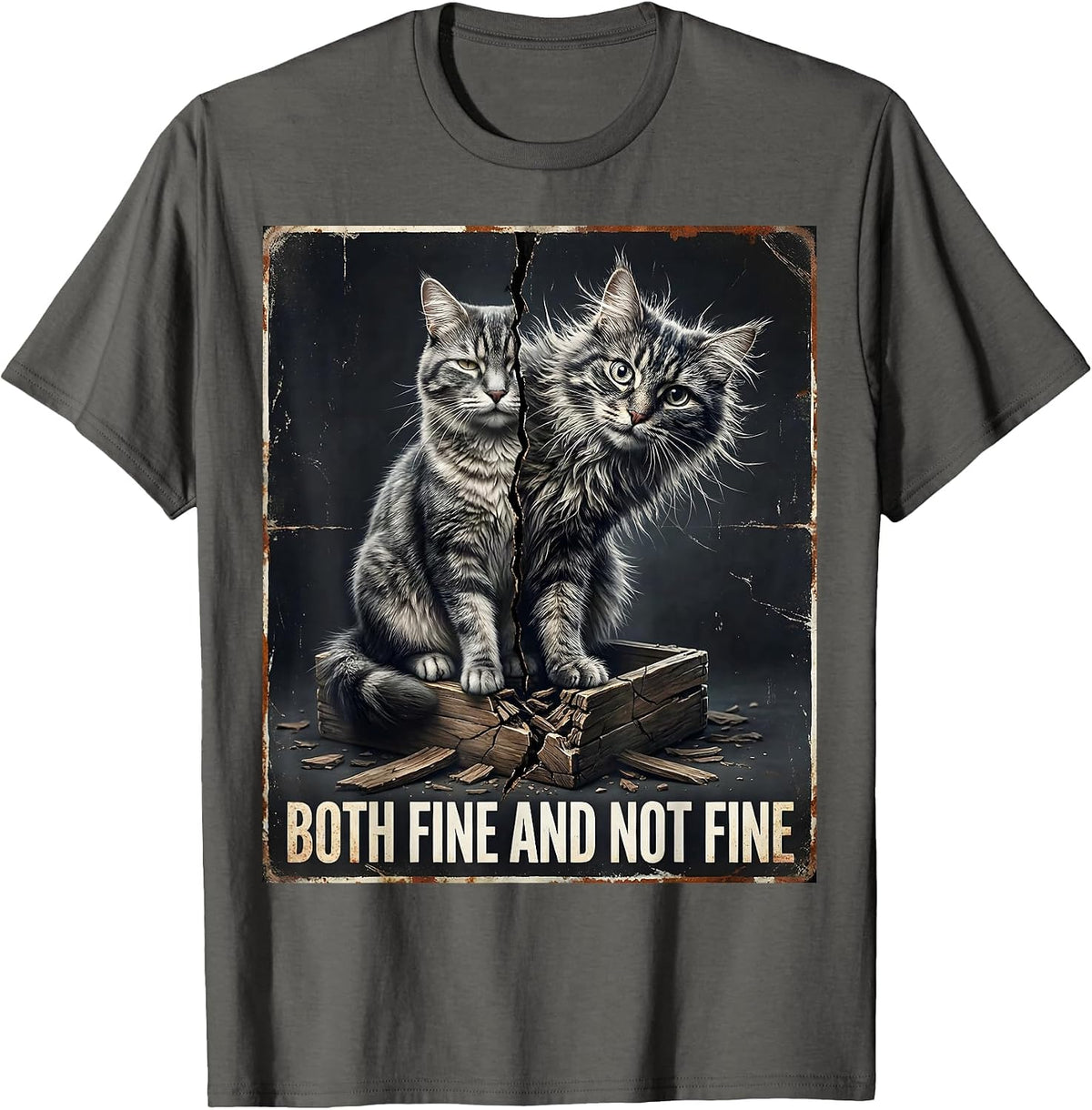 Both Fine And Not Fine Distressed Cat Quantum Physics Humor T-Shirt - Asphalt Grey