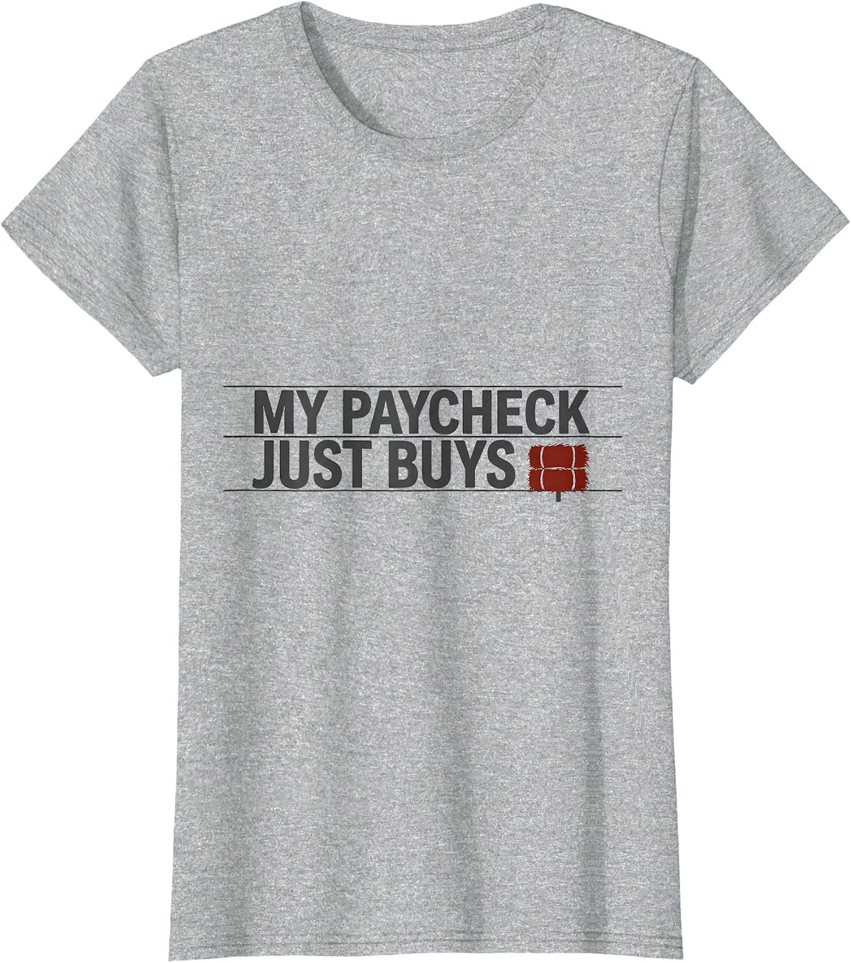My Paycheck Just Buys Hay Funny Cowgirl Horse Lover Humor T-Shirt - Heather Grey