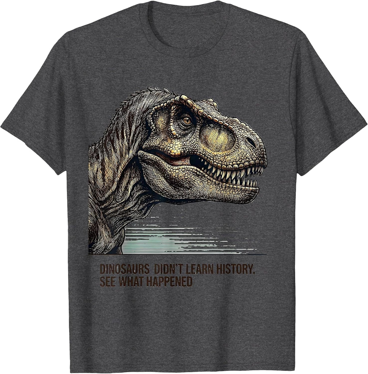 Dinosaurs Didn't Learn History See What Happened Teacher T-Shirt - Dark Heather Grey