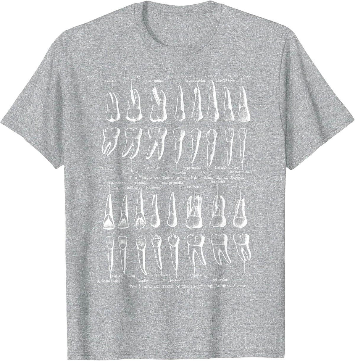 Human Teeth Dental Vintage Anatomy Retro Dentistry T-Shirt - Heather Grey
