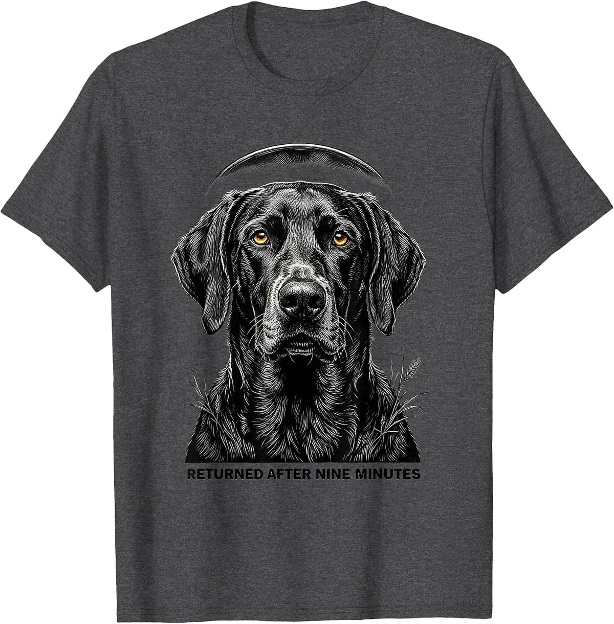 Returned After Nine Minutes Weimaraner UFO Abduction Funny T-Shirt - Dark Heather Grey