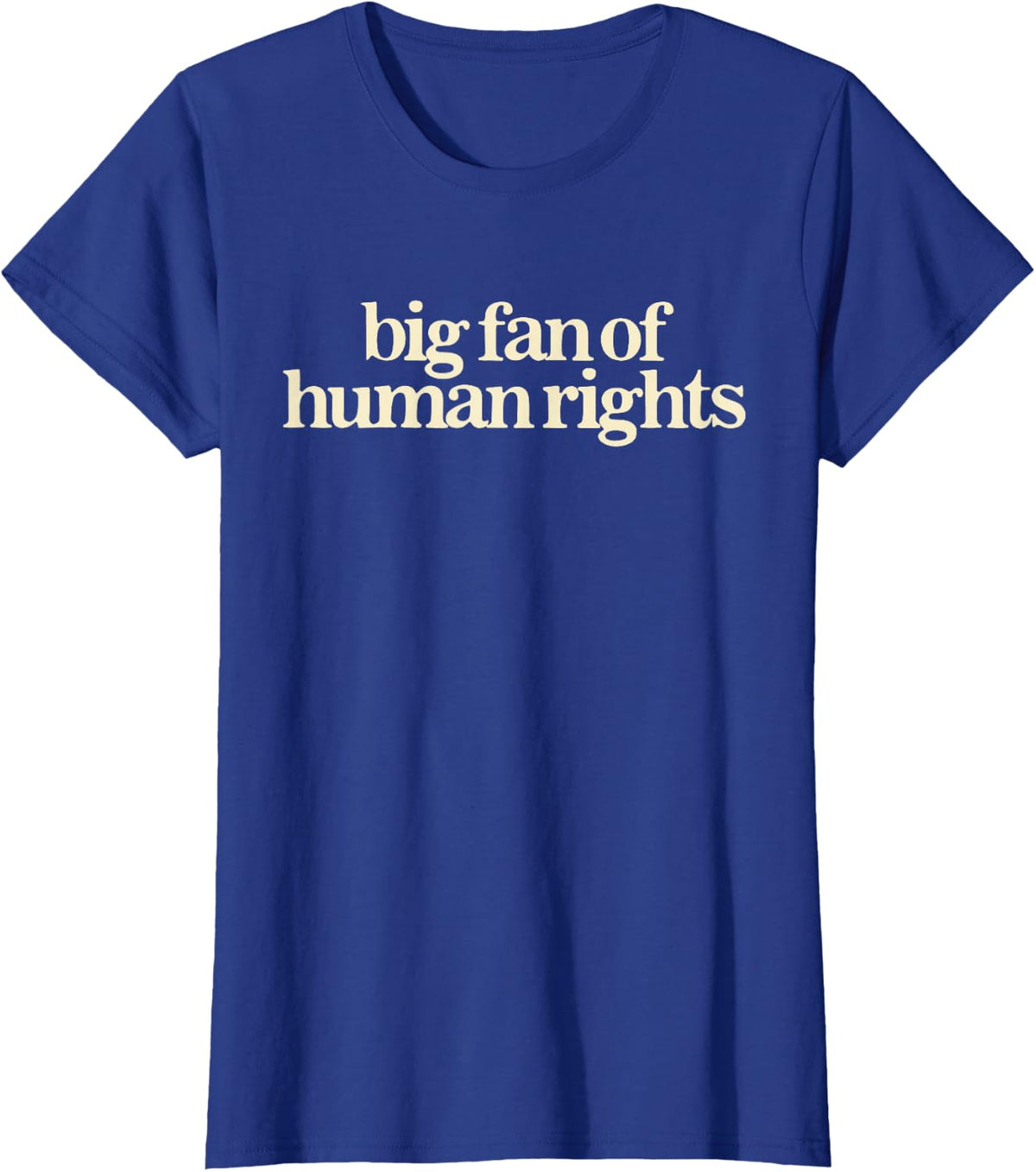Big Fan of Human Rights Retro Equality Statement Art T-Shirt - Royal Blue