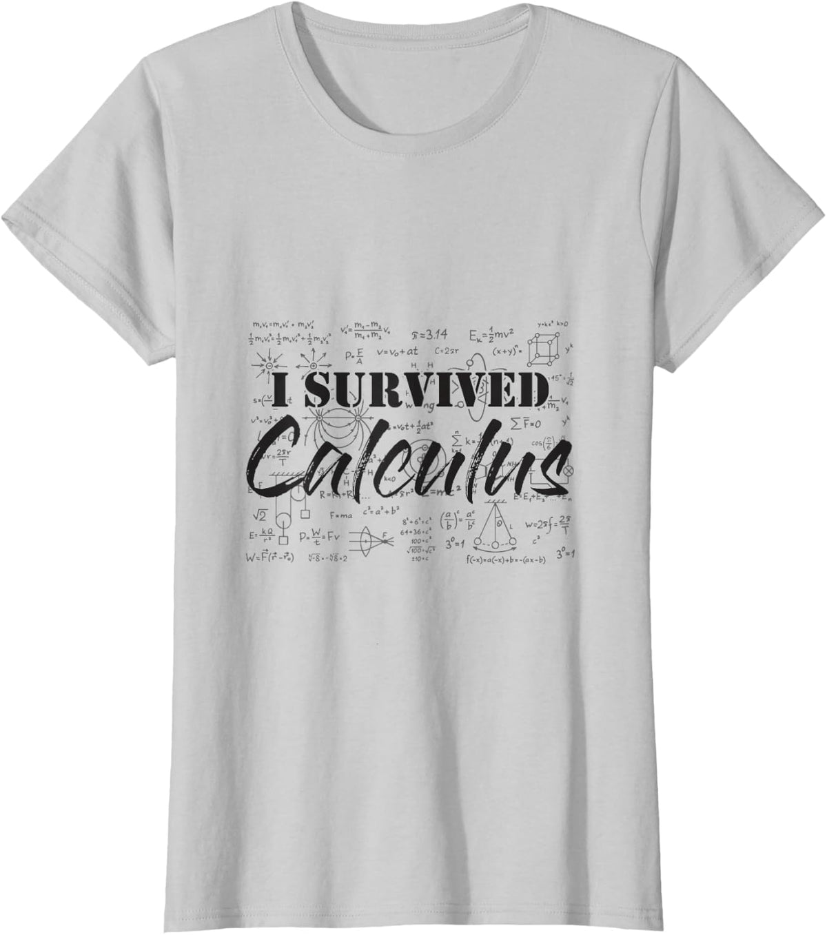 I Survived Calculus, Easy Calculus, Gifts for Math Lover T-Shirt - Silver Grey