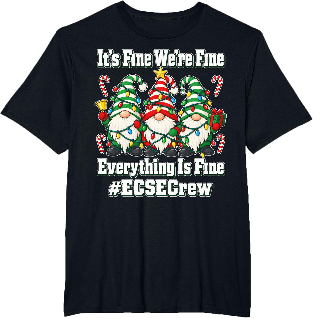 Everything Fine ECSE Teacher Christmas Shirt Gnomes T-Shirt - Black