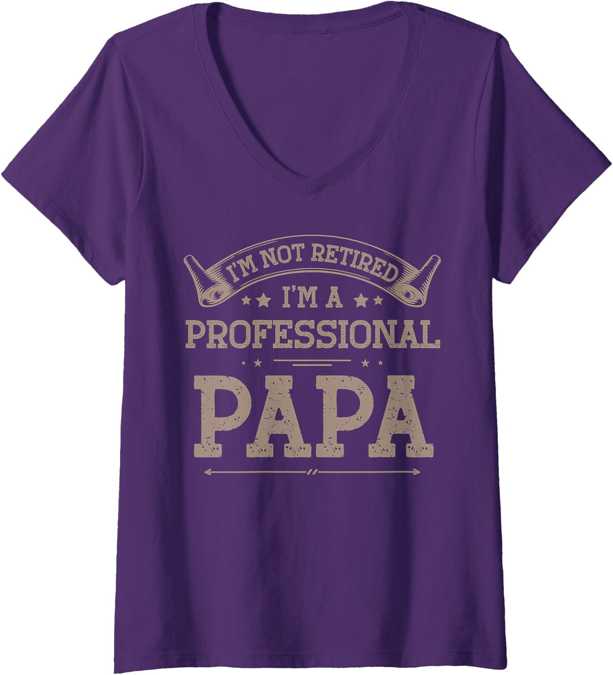 Women's I'm Not Retired A Professional Papa Tee V-Neck T-Shirt - Purple
