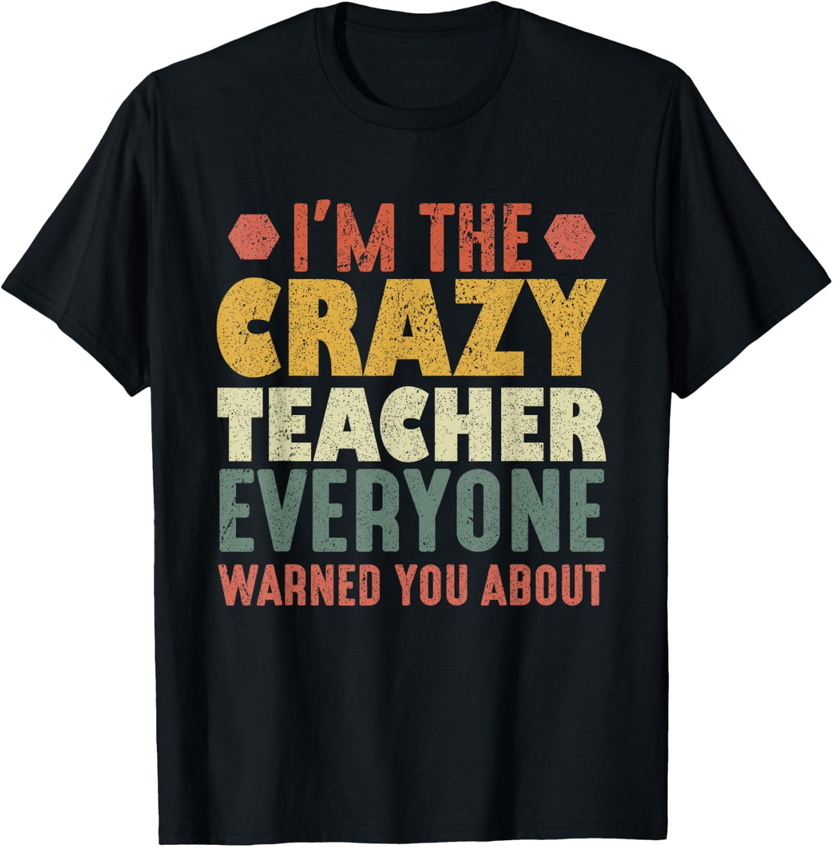 I'm The Crazy Teacher Everyone Warned You About T-Shirt - Black