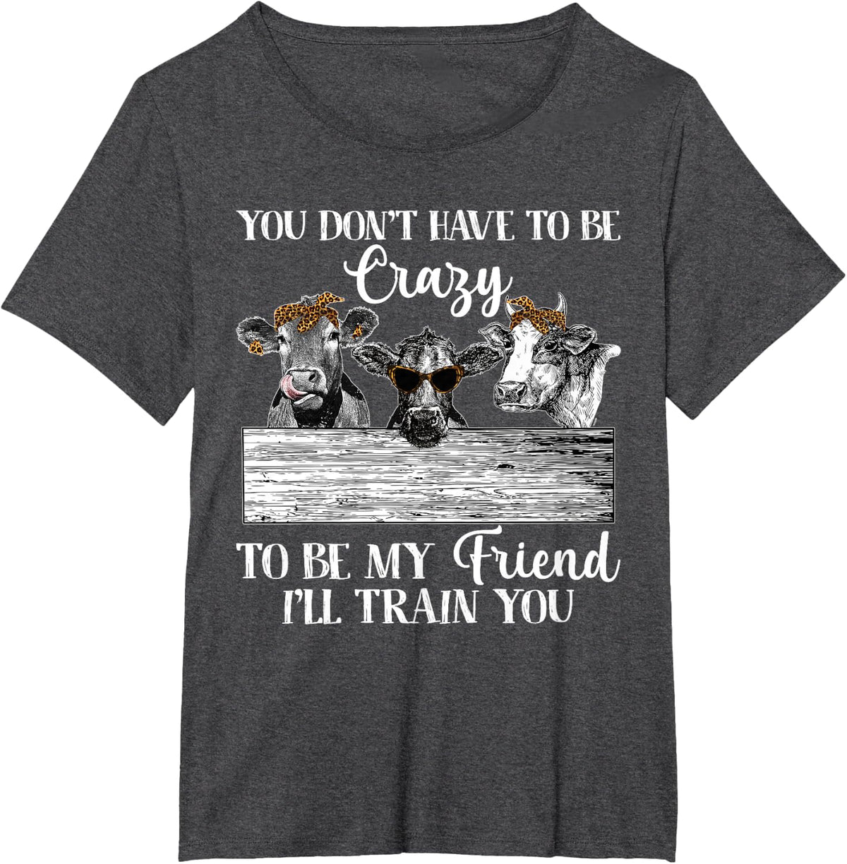 You Dont Have To Be Crazy To Be Friend I'll Train You Heifer T-Shirt - Dark Heather Grey