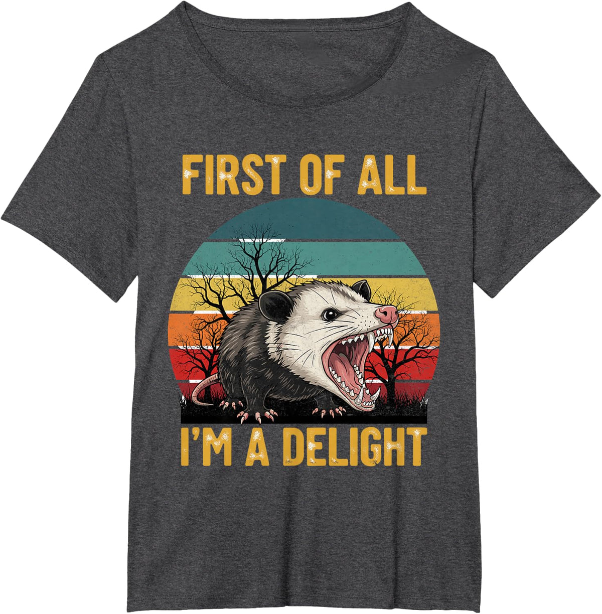 First of All I'm A Delight Angry Opossum T-Shirt Funny Possum Tee - Dark Heather Grey
